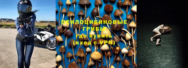 мяу мяу мука Армянск