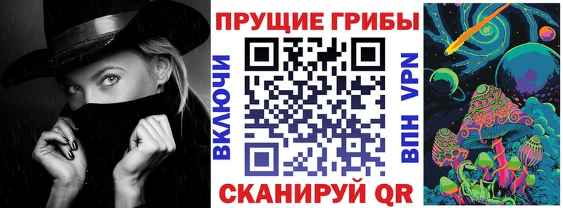 Галлюциногенные грибы Psilocybe  Балабаново 